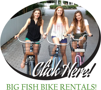 Big Fish Bike Rentals